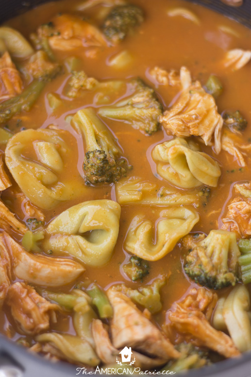 Easy Roasted Red Pepper, Tortellini, Chicken, and Broccoli Soup